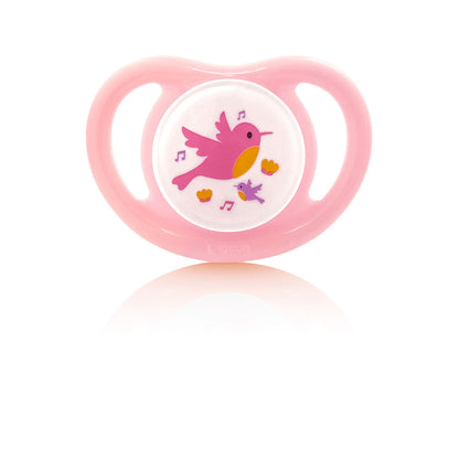 Pigeon Pacifier for New Born